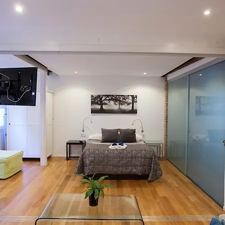 巴普斯公寓 * 毕尔巴鄂